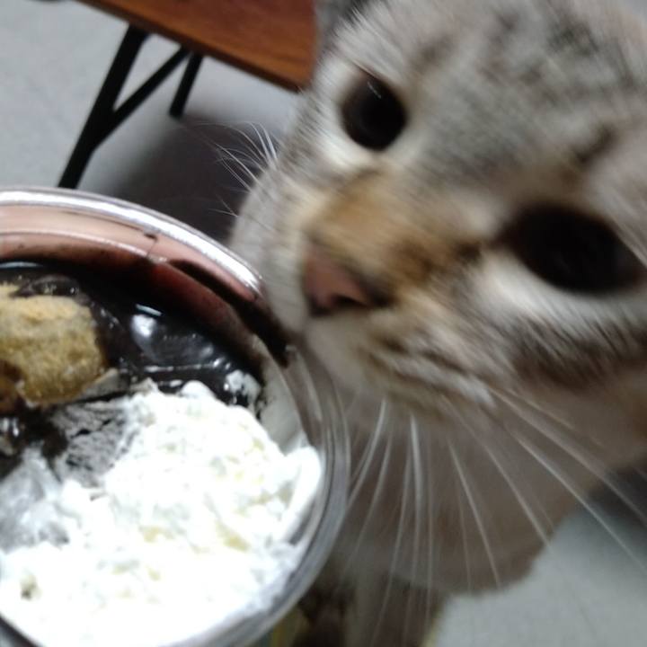 Fc726699 cfff 4ff7 a21c 19c1d042d555 1630063501602