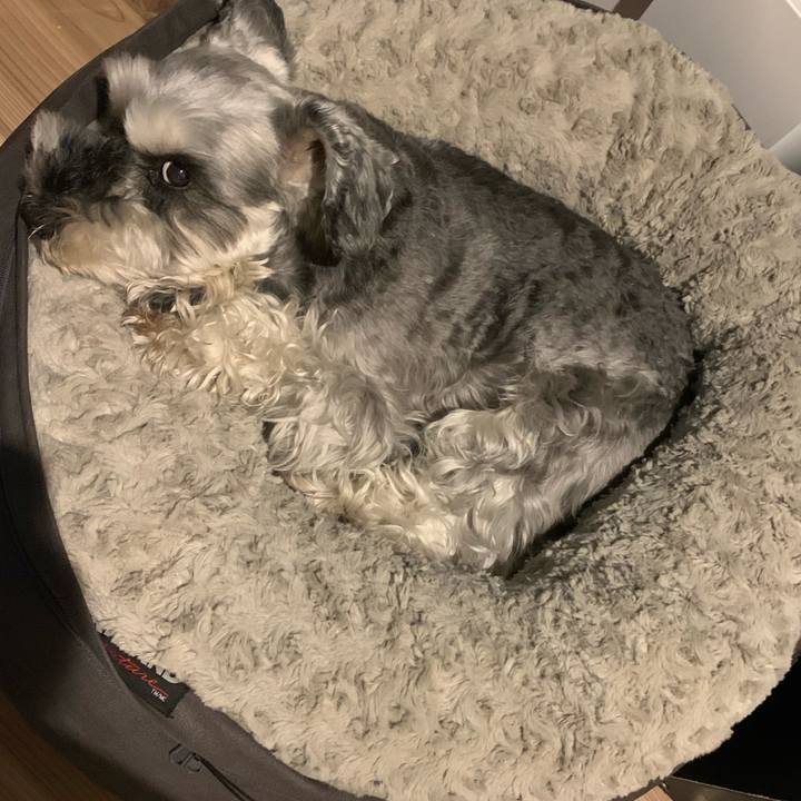 Fc727468 257e 42b9 aeb3 02993db584c6 1624863079840