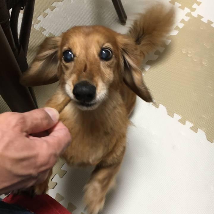 Fc72a3fd 7618 4852 b7c8 21108bdff655 1620052744233