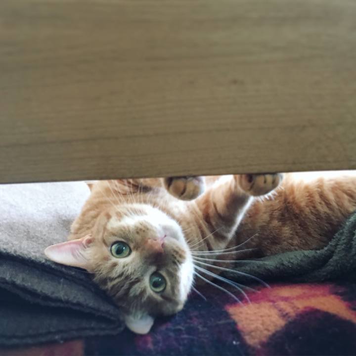 Fc72b938 6af3 4da2 a08e 7293763dfaa9 1557961214261