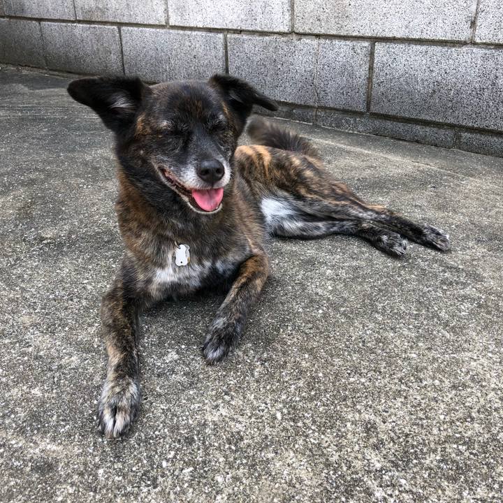 Fc72bee4 9b61 47c5 b3a1 192206aa0cc2 1563172764806