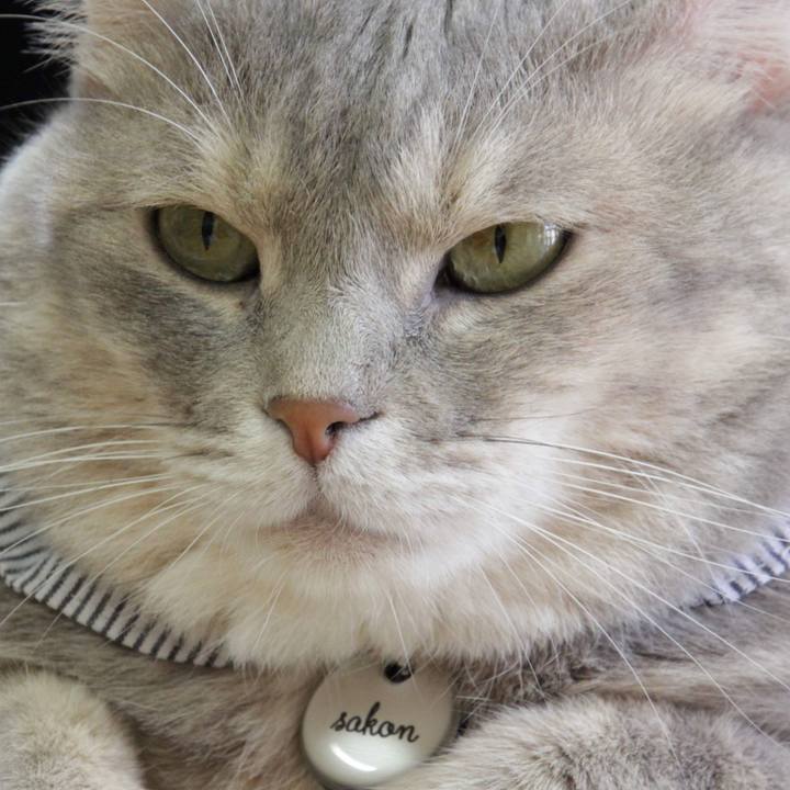 Fc72e5cd 0910 423f 92dd 635d2fdddd40 1660921839359