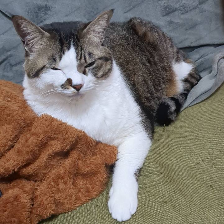 Fc72e92e 60db 42be a66c 0767e7c3feec 1737289101895