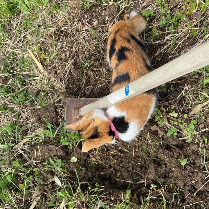 Fc735886 e1a0 4cf0 8664 fb77e2f82c01 1649054746893