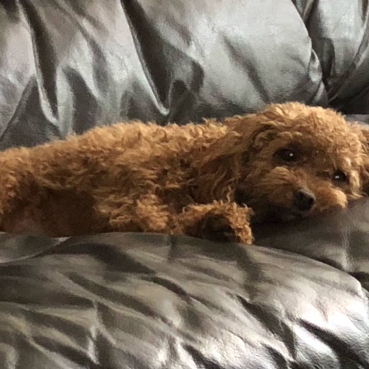 Fc73762f ce55 4750 80bb 9419145bb828 1524900382933