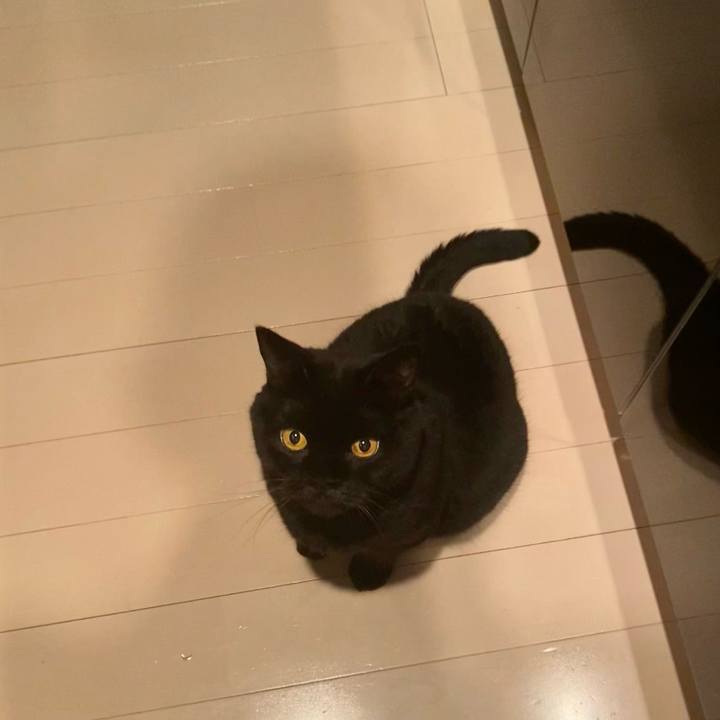 Fc73781a 407e 4815 9635 b6eb992a35f7 1758111767261