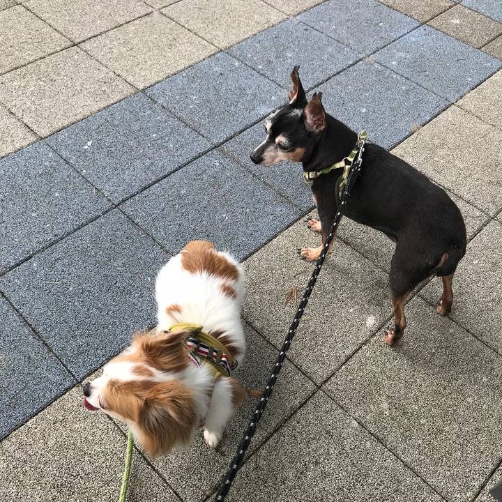 Fc737d13 364c 4a54 93e8 29c368917572 1568516833341