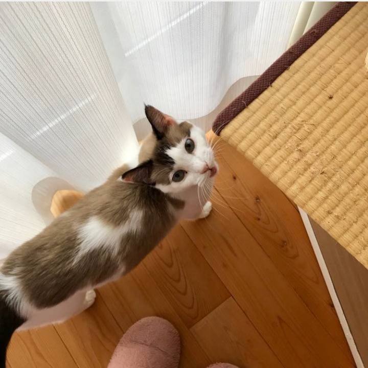 Fc739608 343a 469c ad43 ec3d164b0fa1 1695979721713