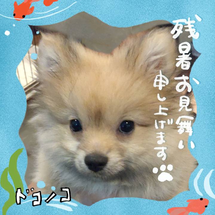 Fc73997b d1e4 46a4 9707 8d864052cde1 1723172476845