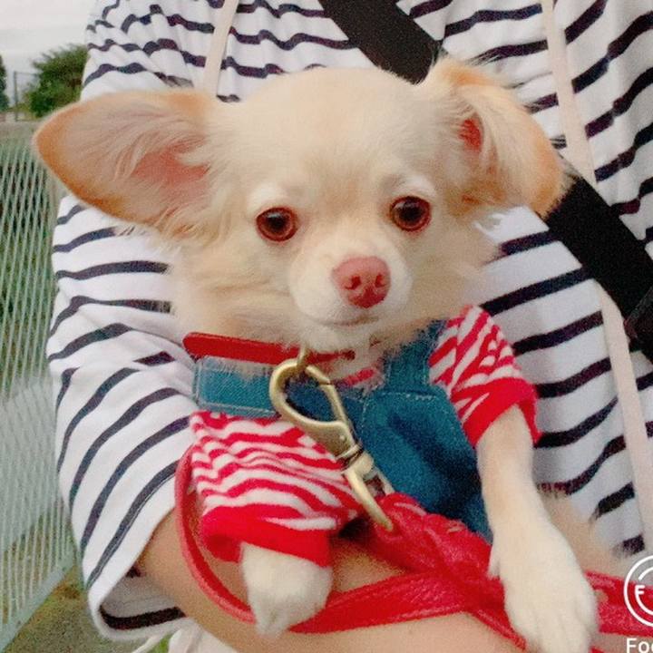 Fc73af14 d187 4786 bc4c ea9608f4ac1f 1631188385926