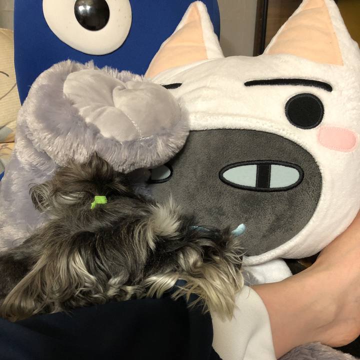 Fc73c9cb 0ac5 4b77 a997 bb6e95a89cf7 1528030632909