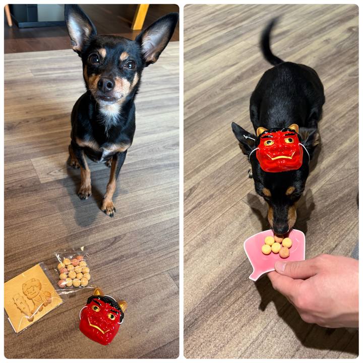 Fc743123 3a9e 463c 9f18 3728e94adf29 1770125886844