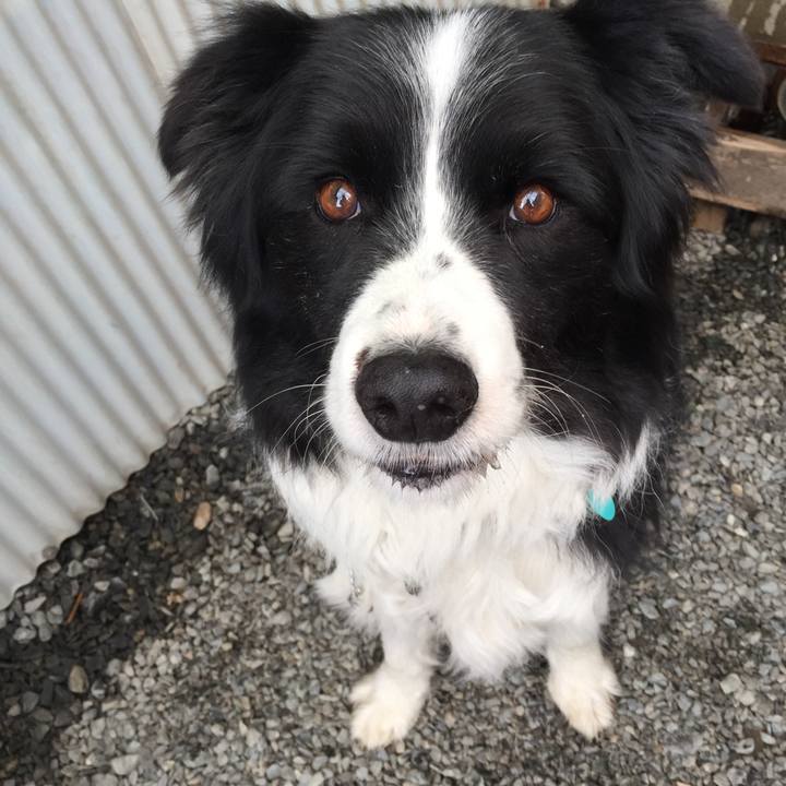 Fc7449ca 96ad 47fb 8ce3 7cd8279e63f7 1580256608802