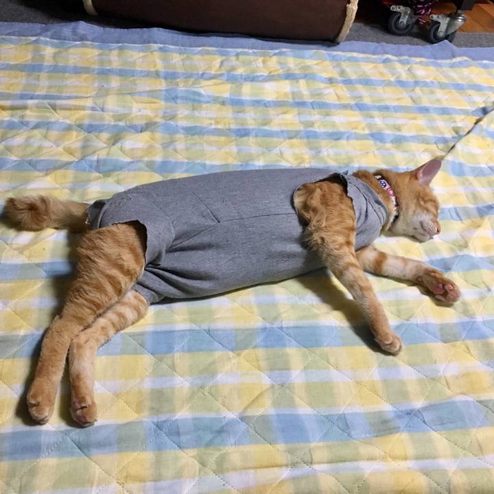 Fc74985d d3c3 441f b55f d95d46f5bbf3 1524497894684