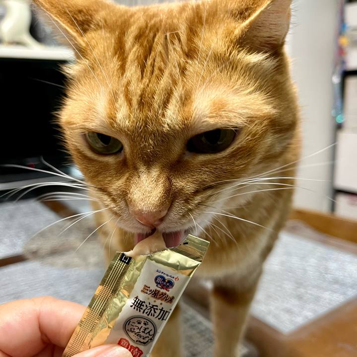 Fc74b450 324c 4074 b0ce b430edac12b9 1689632187032