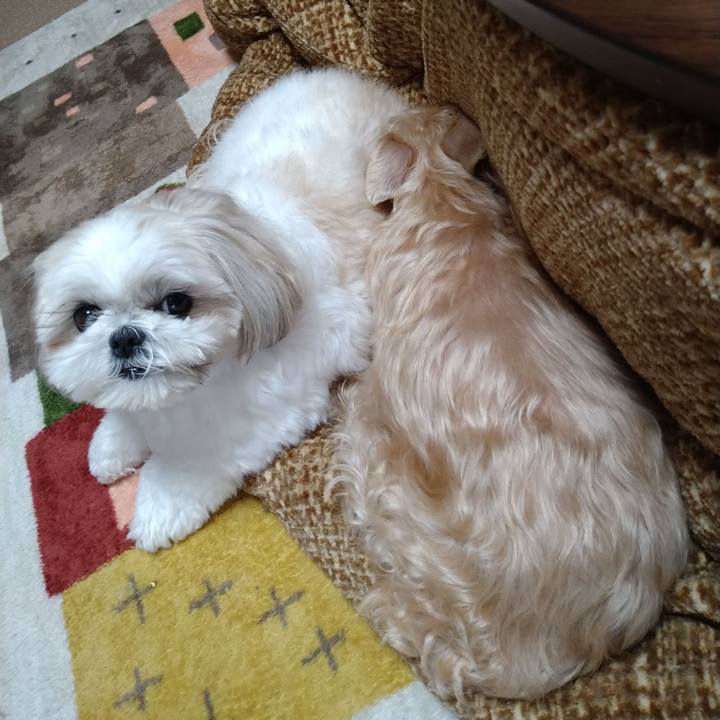 Fc74b45e d52a 43ed 88b0 6f9de4f731e3 1642652883964