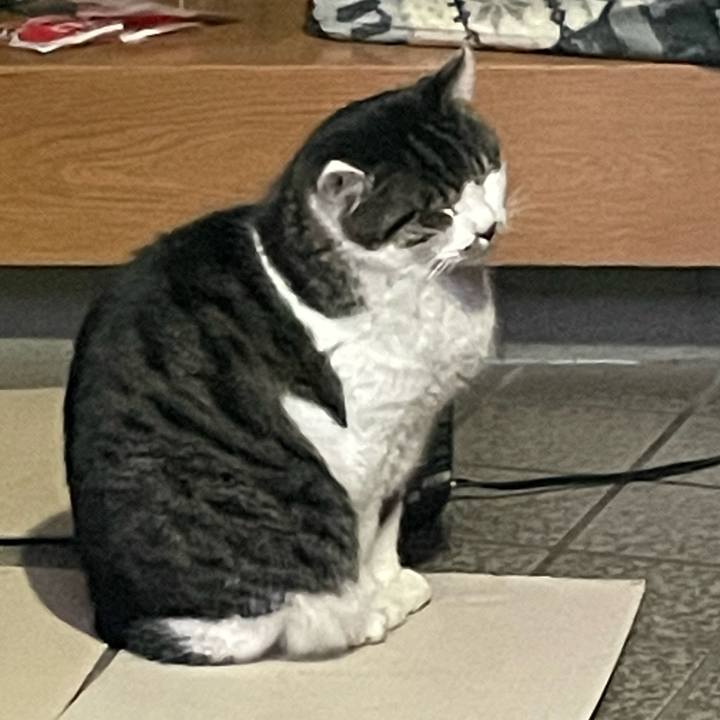 Fc74cab1 1214 420c 8e06 8476a1c8d085 1642581031311