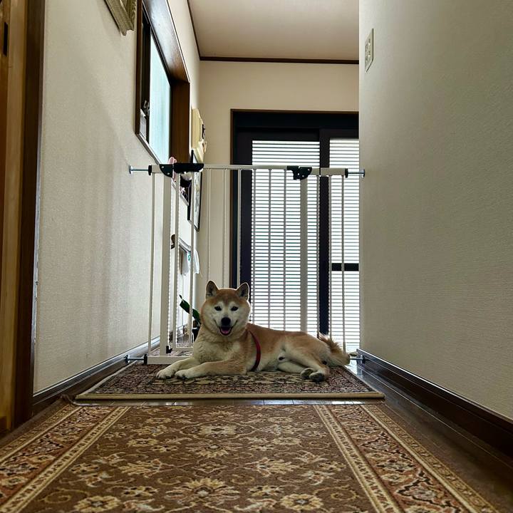 Fc74d070 6404 4e1e 92d5 0a4fa3fc5f5e 1714128387201