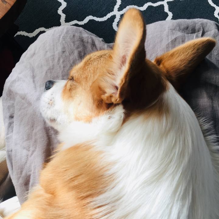 Fc74e9f5 6110 460a 9765 ec0f40041c1a 1574129742442