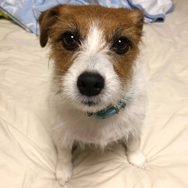 Fc755c4b 8825 4e64 9022 a37503cd7838 1540127889448