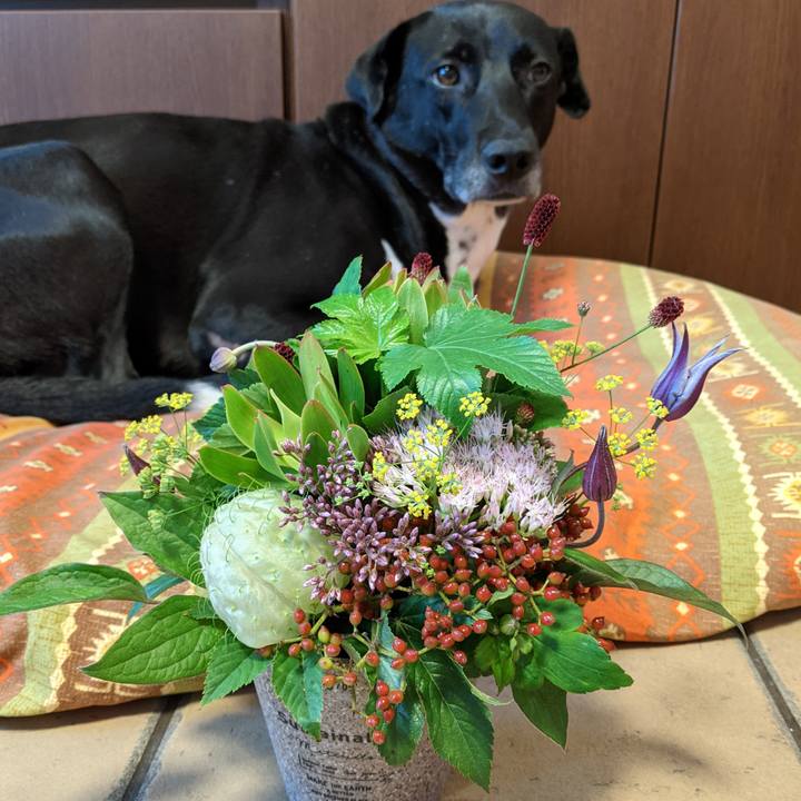 Fc756c12 dca4 43be 85ff 0a2d5bb2a775 1630556511632