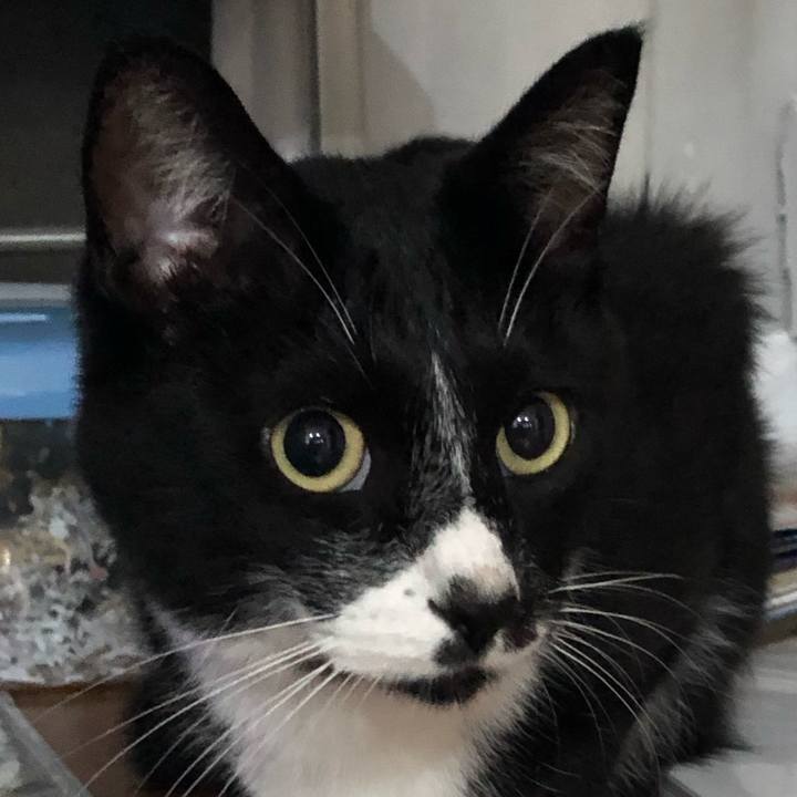 Fc757c59 8b01 4a74 bdaf 1ecca65702da 1570246826377