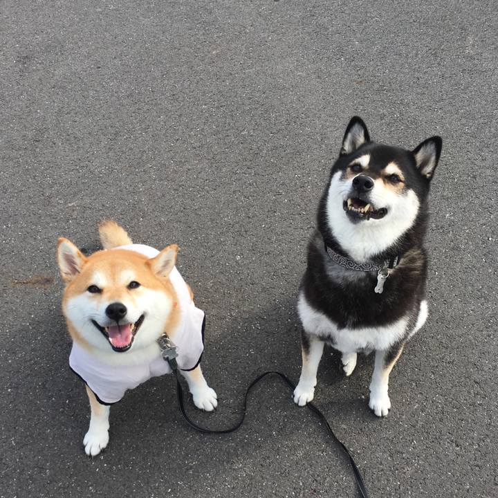 Fc759b5f e2ff 496c 8ddd 920251814c9c 1539913691367