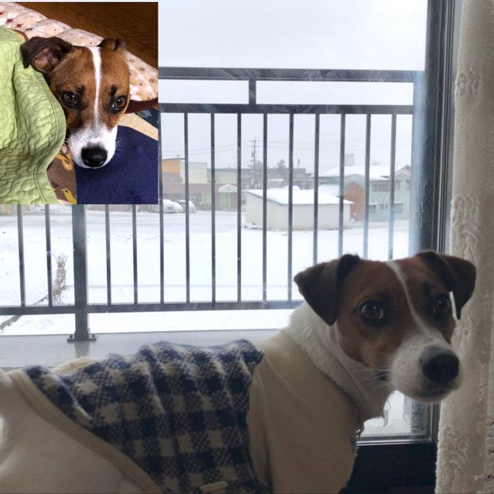 Fc75ae2a 00b5 4381 a92f 34f3fc92adaa 1554973927138