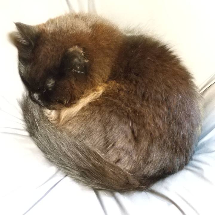 Fc75af5f 128e 499a 95f1 8692c58be4df 1611099262237