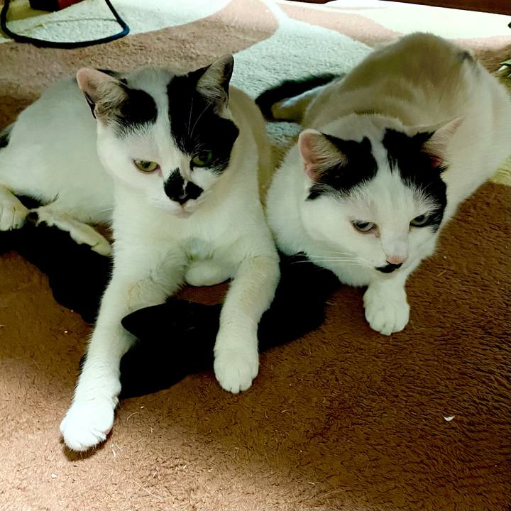 Fc75bb53 9935 47bc 9eb9 3f1d8bd9ae24 1609377293685