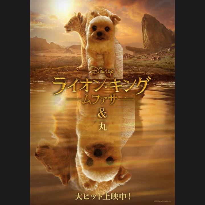 Fc75d290 e483 4a2d a7b7 e6d7dcf80b53 1734697300586