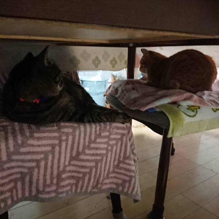 Fc7626d2 5c7b 4d65 b7f2 4f26e5488403 1642455929040