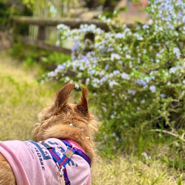 Fc767390 718a 4ef5 b755 3b5c39efb40f 1763816576695