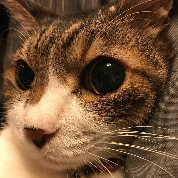 Fc767b1e 0e1e 4a4c b0cf 74dce57db9d6 1558820278832