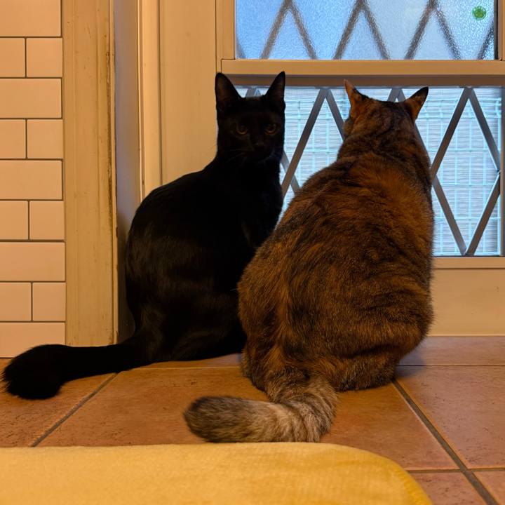 Fc767eed 9a94 41cc 8d35 3219f91a02e3 1763332590934