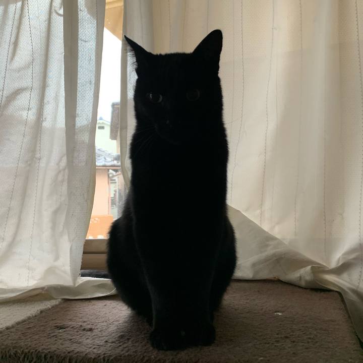 Fc769517 b897 417d bdb1 768b235e8466 1575769107774