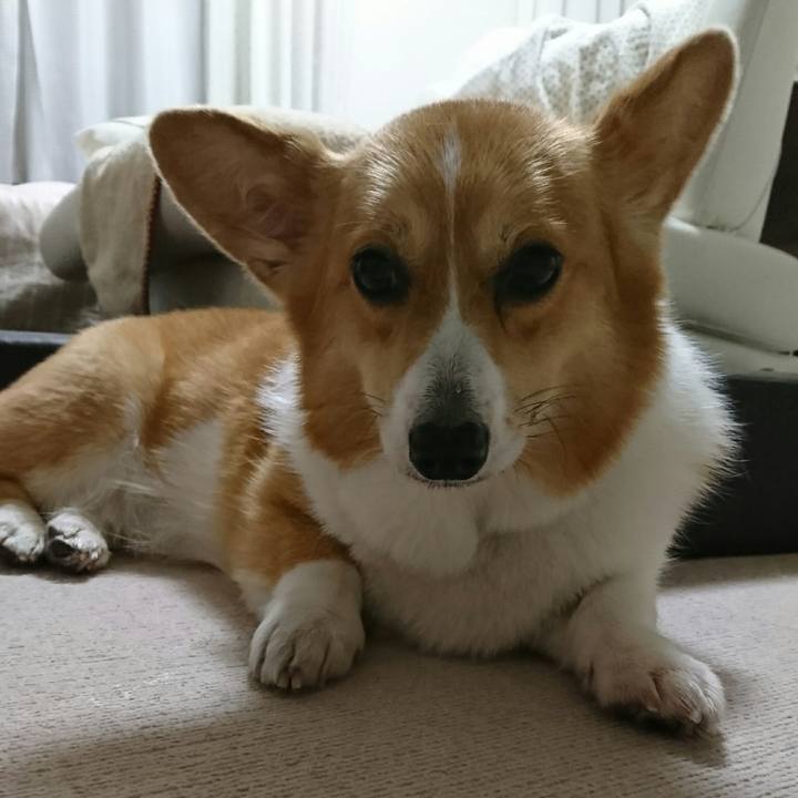 Fc76a300 d7fd 4e00 a613 ef70bbde7f97 1526638397189