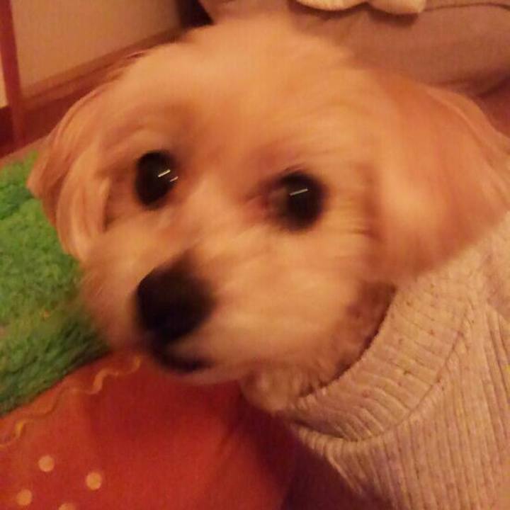 Fc76a7bf 8040 4ed5 b7d0 69407f9f3bc0 1521984920158