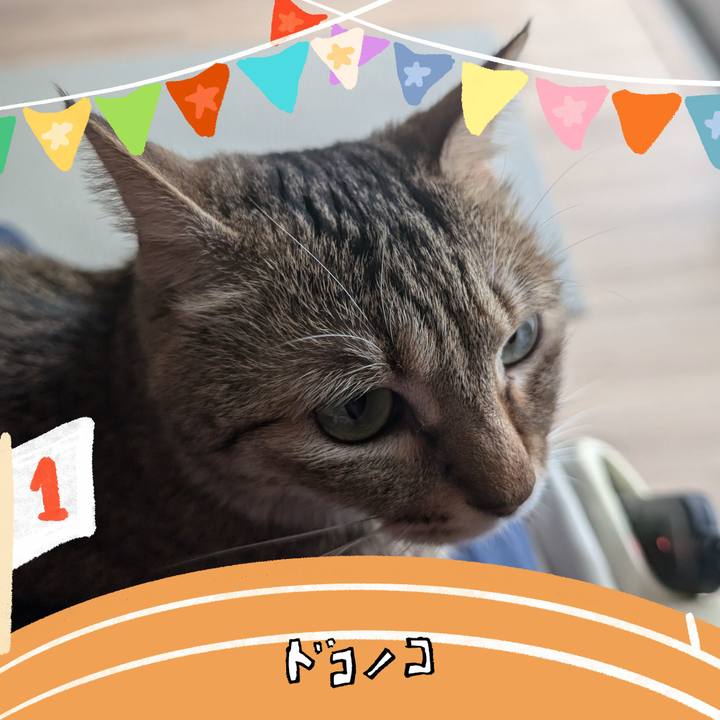 Fc76e0a8 36d5 46f3 b8a3 052a11524eb9 1761433052652