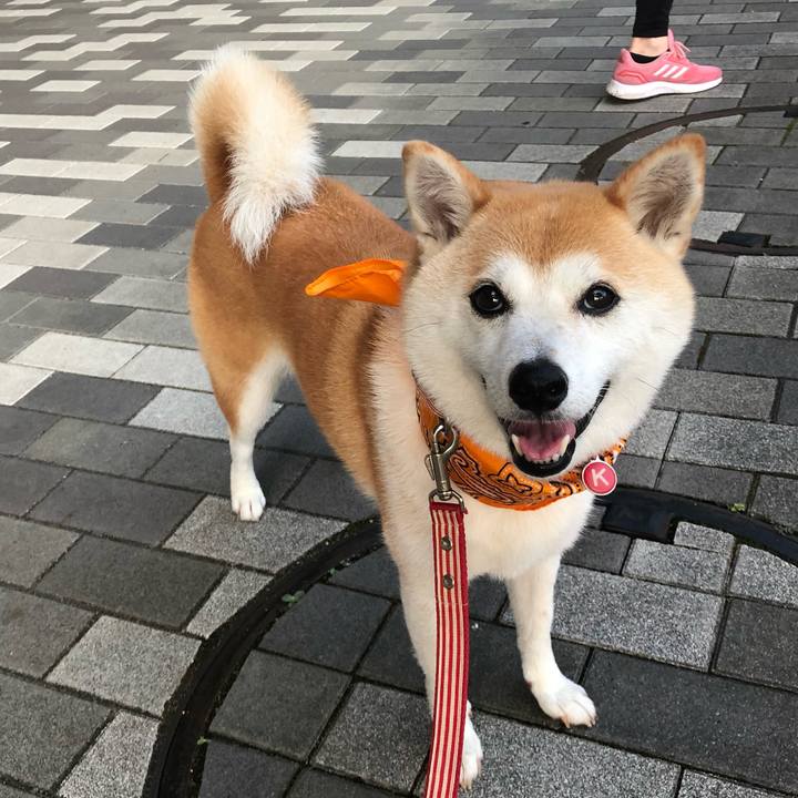 Fc76f71d 8af0 43e6 b4a2 b21daeb0c75e 1658356902333