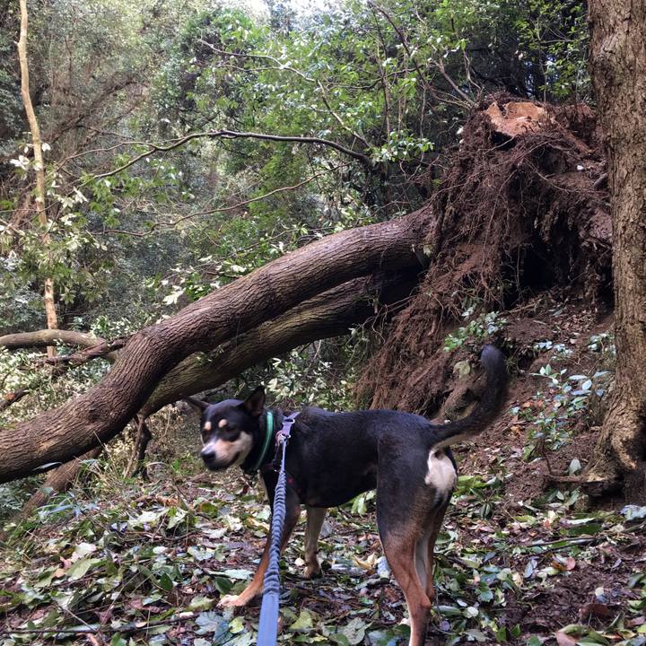 Fc773e0e 1d6d 43a5 9d62 a53ecbb46c7a 1508910322313