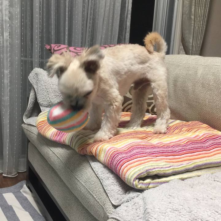 Fc7781c5 7920 4ddb 8ad4 6d7cd352068e 1538652679105