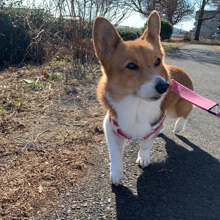 Fc778a6f 7a86 4aa5 b42c 6f24b721541f 1703933497672