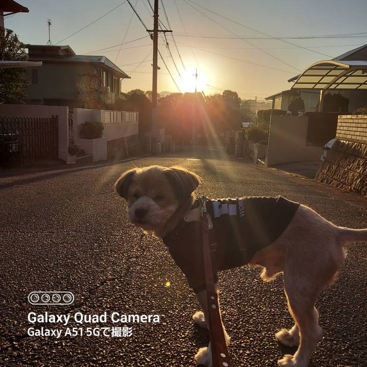 Fc77b955 4da3 4b0a 94ad cbef6e4f04e0 1673918089521