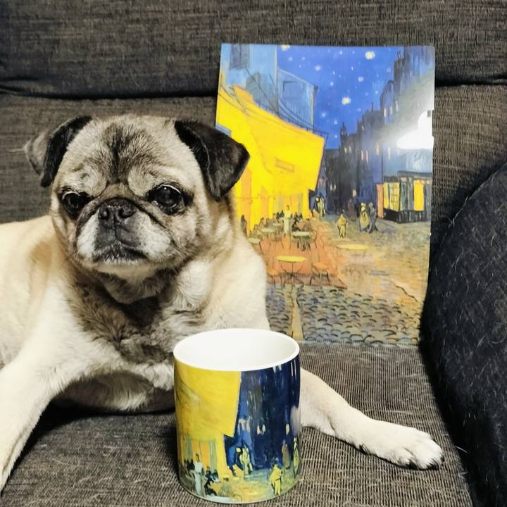 Fc77c081 5b23 4466 8128 bd50d1eff13c 1774180022299