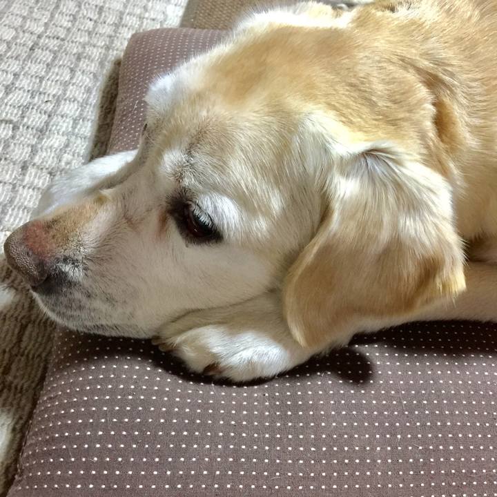 Fc77cdb6 7589 4b8b 90e1 06c173055583 1521715398073