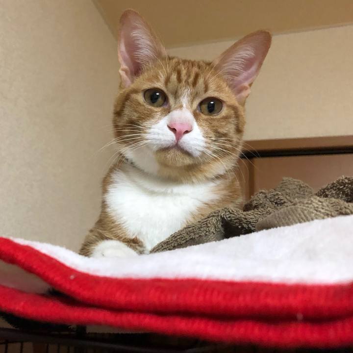 Fc77df31 b512 446e 9db0 63bb7dab0a77 1549712144627