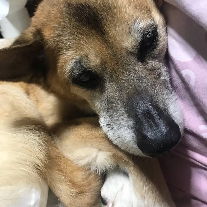 Fc77ef8f b64a 4873 9512 722feb808700 1561844372672