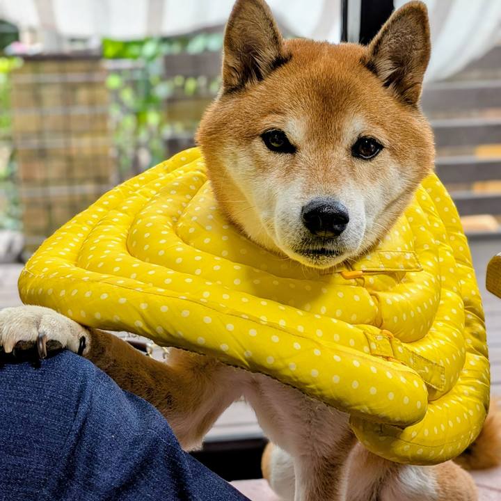 Fc7862b8 3899 4ba9 a1dd 705a4c5cf5bc 1762386057074