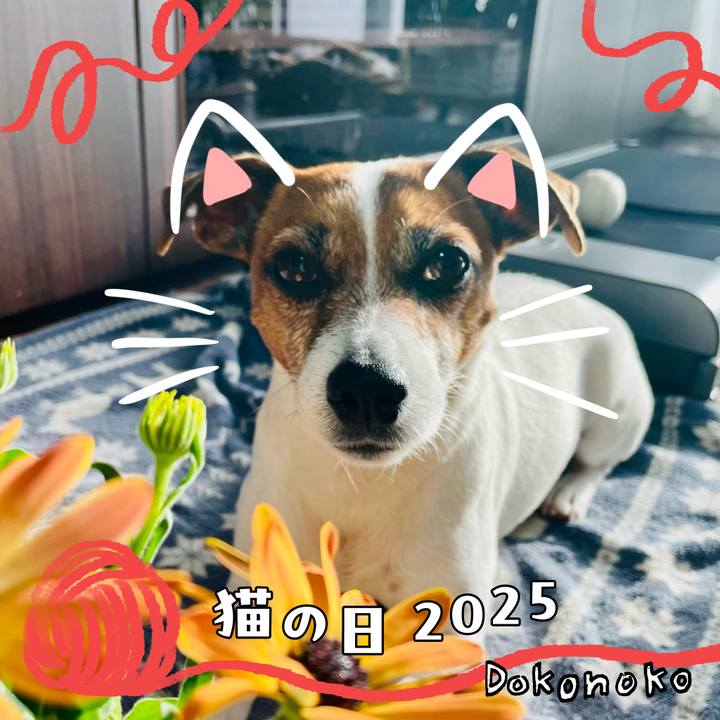 Fc786fba 9e77 4c13 a1d1 7dd3113cabf6 1740178740059